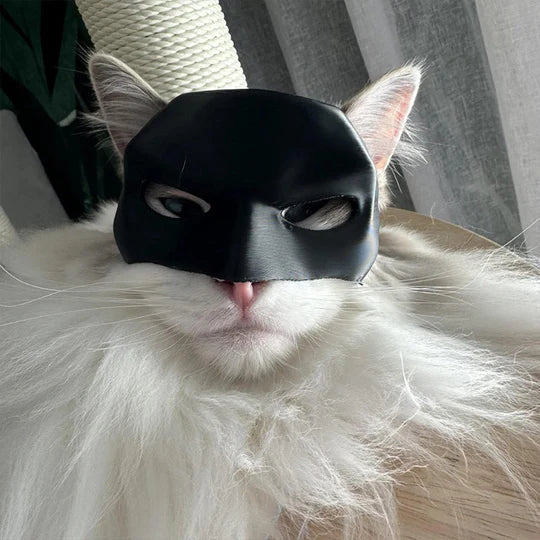 Black cat superhero masquerade mask for pets, perfect for Halloween pet costume party
