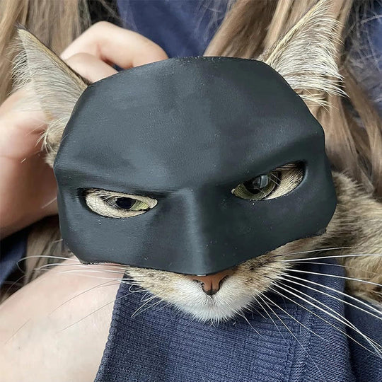 Fun cat superhero mask for pets, perfect for Halloween, parties, and photo shoots