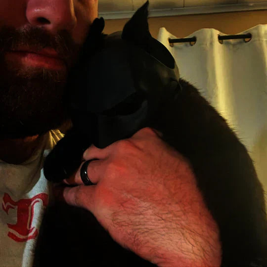 Black cat mask with eyeholes, great for a Halloween pet apparel or cosplay item