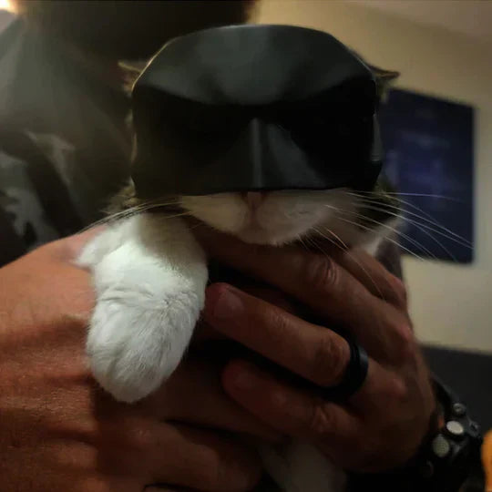Stylish pet superhero mask for cats, perfect for a unique pet fashion statement