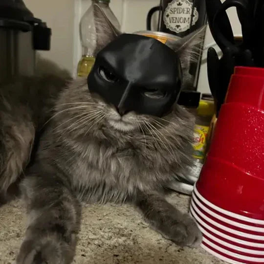Adorable cat masquerade mask, an animal-themed photo prop for playful pets