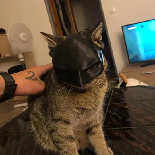Superhero-themed cat mask, durable pet accessory for parties and dress-up