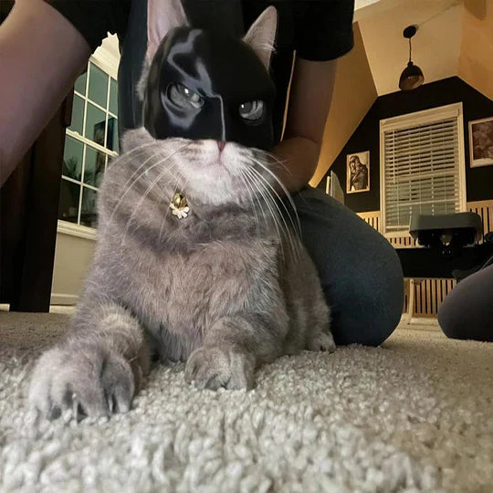 Pet cosplay cat mask, black with ear details, ideal for animal-themed events