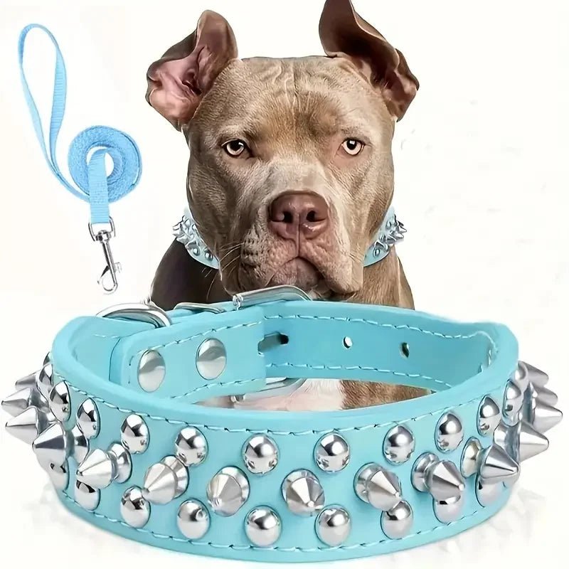 Black spiked dog collar and leash, designed for secure dog walking and effective pet training sessions.