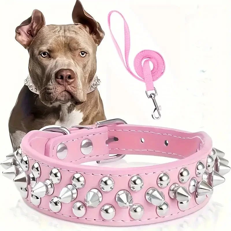 Spiked pet collar and coordinating leash, essential dog walking and training accessories for any breed.