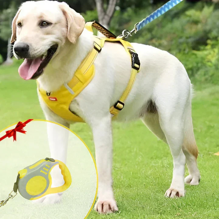 Black no-pull dog harness with padded chest, adjustable straps, and control handle for comfortable, safe dog walking.