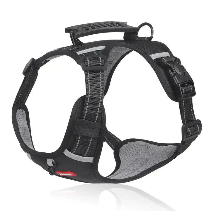 Orange padded no-pull dog harness, ideal for training and daily walks, offering comfort and control for your pet.
