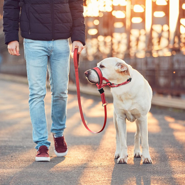 Adjustable dog muzzle featuring reflective strips and breathable anti-bark design for pet safety.