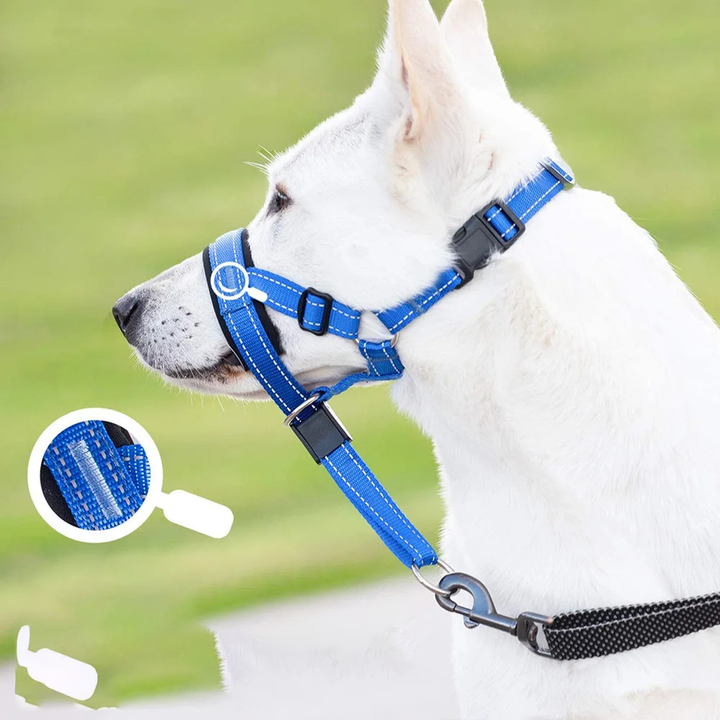 Breathable anti-bark dog muzzle with reflective strips, a safe and adjustable pet accessory.