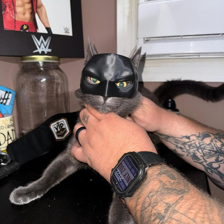 Halloween pet costume: black superhero bat mask, perfect for festive feline or canine fun