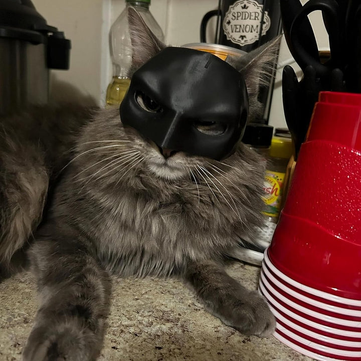 Black bat-shaped pet mask, suitable for superhero-themed animal dress up