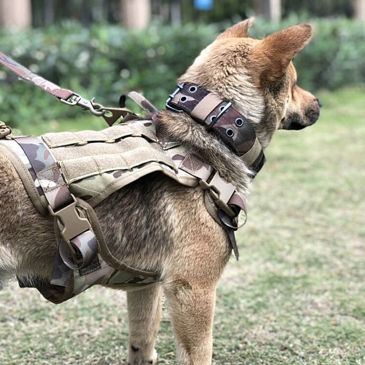 Black tactical dog harness with handle, durable nylon for walking & training, adjustable fit