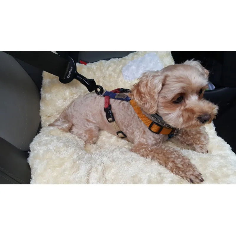 Dog car seat belt clip (black) providing pet restraint and travel safety for all dogs