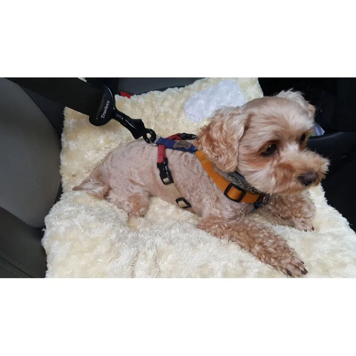 Dog car seat belt clip (black) providing pet restraint and travel safety for all dogs