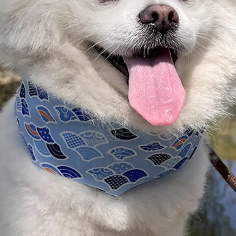 Blue adjustable dog cooling collar for summer outdoor comfort and heat relief