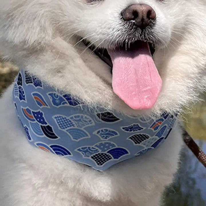 Blue adjustable dog cooling collar for summer outdoor comfort and heat relief