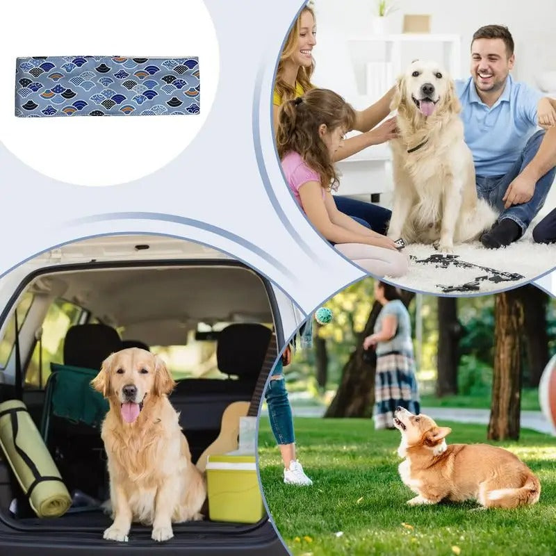 Pet dog cooling collar in blue, designed for outdoor activities and heat relief