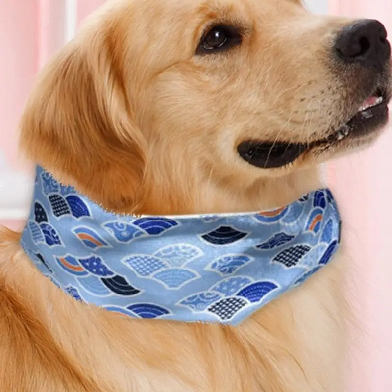 Comfortable blue cooling collar for dogs, perfect for summer outdoor adventures