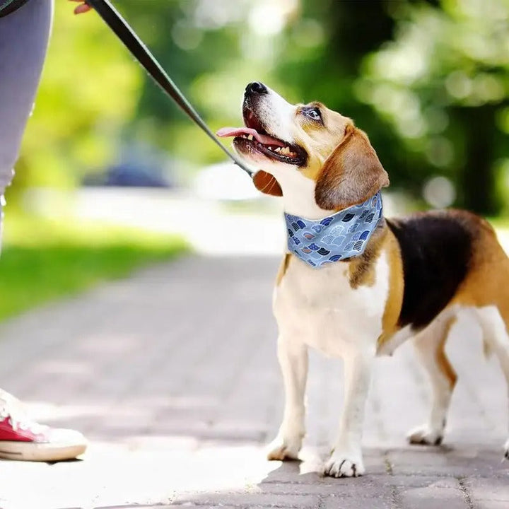 Adjustable blue dog collar providing essential cooling for pets in warm weather
