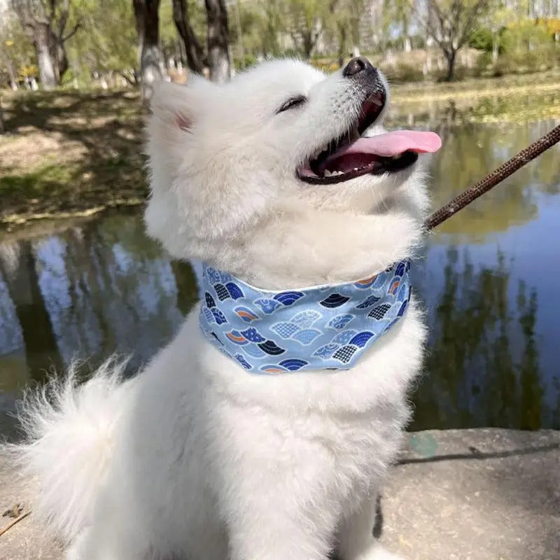 Outdoor gear: blue dog cooling collar, a pet accessory for summer heat relief