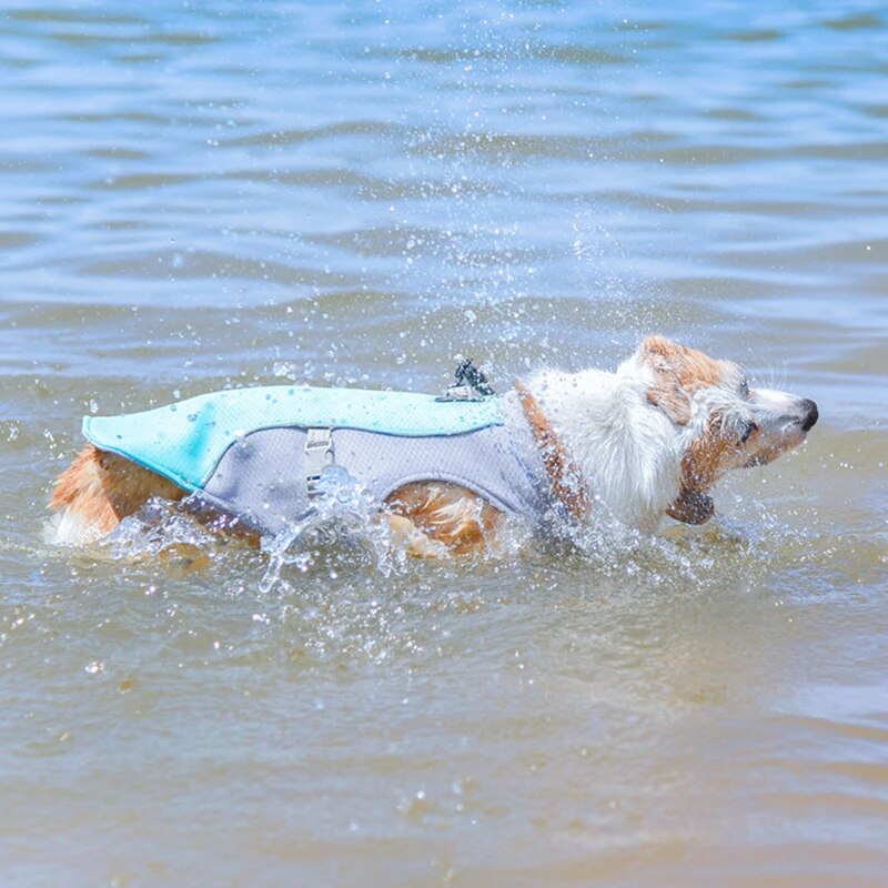 Close-up of reflective trim on dog cooling vest harness, essential pet supplies