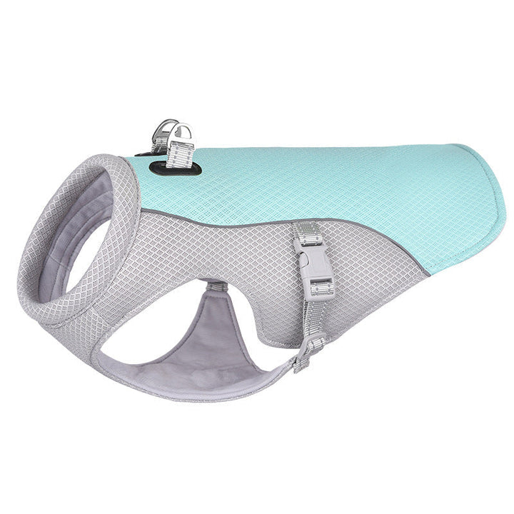 Dog wearing a cooling vest harness, enjoying summer outdoor training and comfort