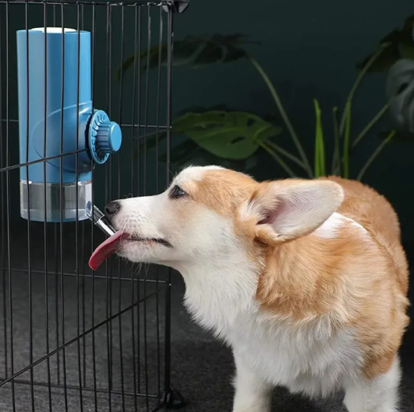 Blue pet travel water bottle, automatic dispenser for dogs, portable hydration for outdoor adventures.