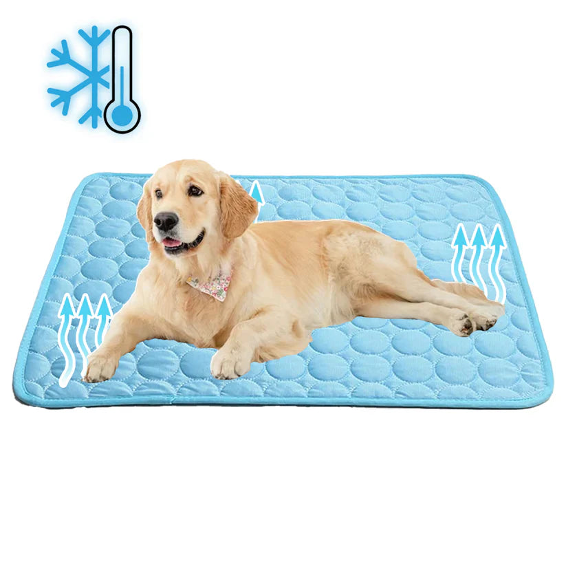 Blue self-cooling gel pet mat for dog or cat, large size for summer pet comfort