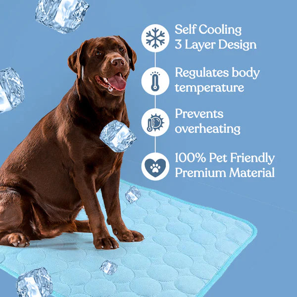 Self-cooling pet mat in various colors and sizes, suitable for all animal accessories