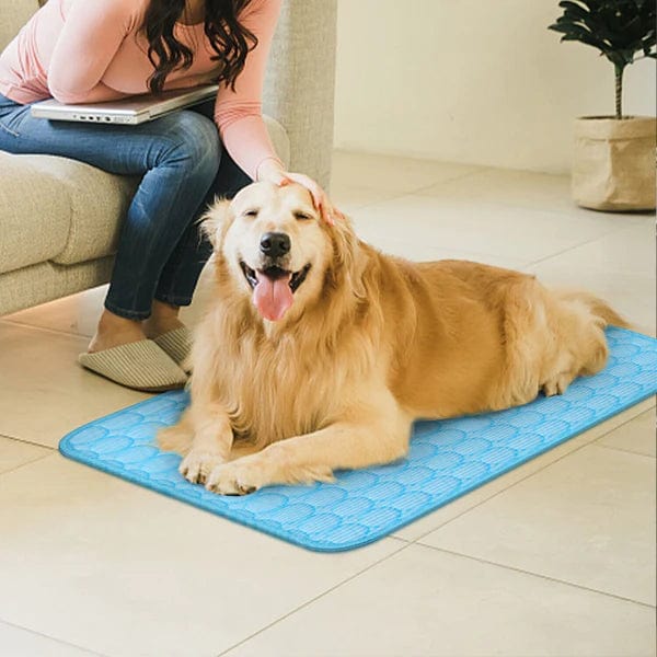 Machine washable self-cooling gel pet mat, demonstrating easy cleaning for pet owners
