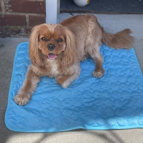 Green cooling gel pet mat, perfect dog mat for hot weather comfort and heat relief