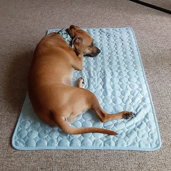 Compact self-cooling pet mat, small and portable for travel with dog or cat