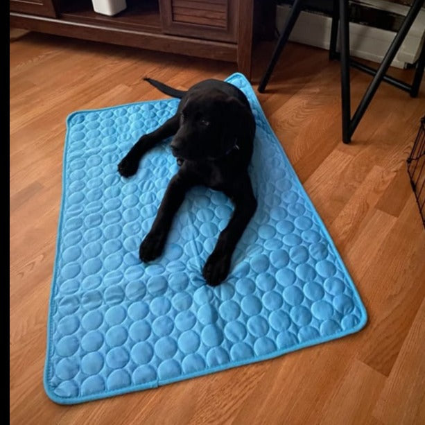 Self-cooling pet mat rolled up, showing its flexibility and storage convenience