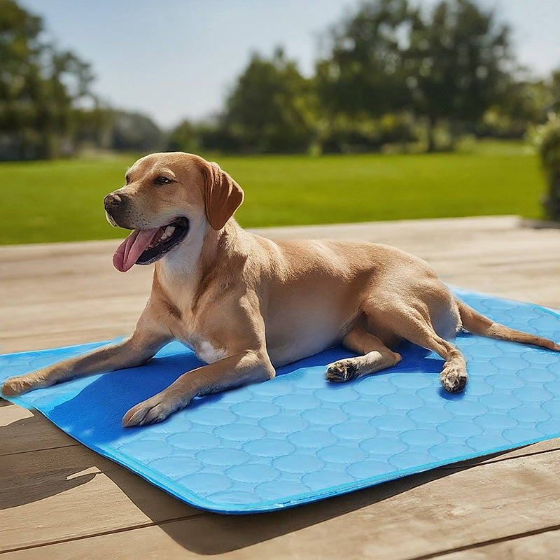 Cooling gel pet mat in grey, medium size, machine washable for easy care