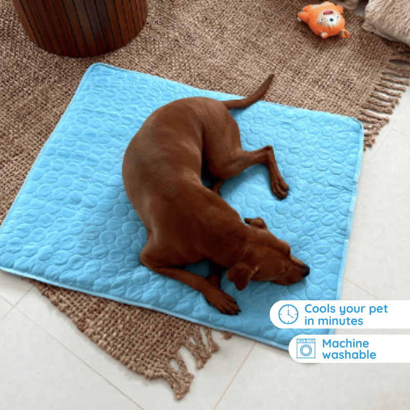 Pink self-cooling mat for pets, ideal for cats and small dogs during summer heat
