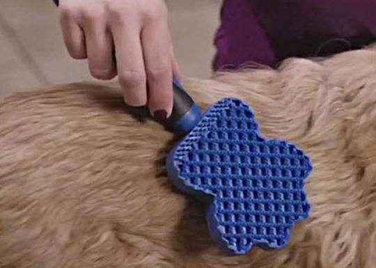 Dog bath brush with soft silicone bristles, promoting circulation and relaxation