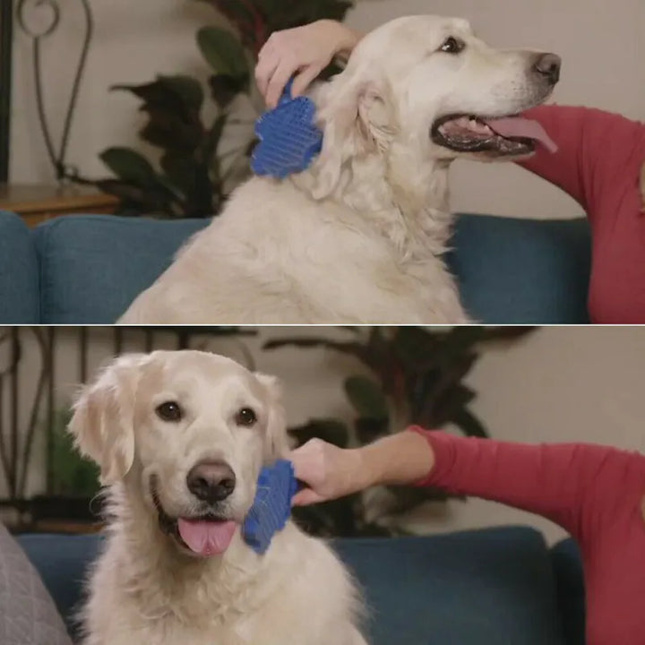 Close-up of a blue silicone dog massage brush, ideal for pet care and comfort