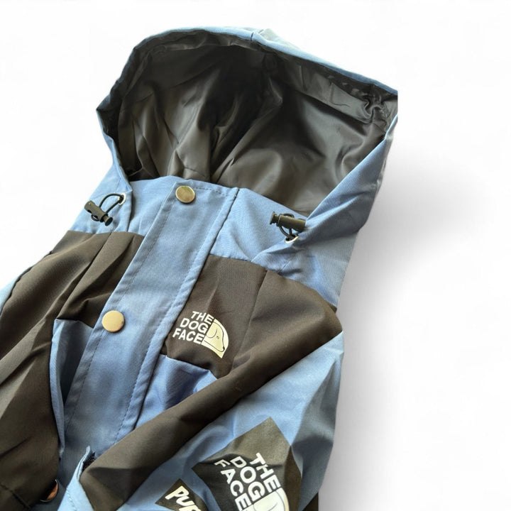 Dog wearing blue hooded waterproof pet coat, outdoor winter dog clothes, side view.