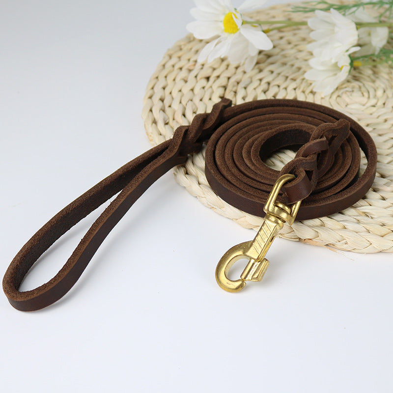Pet training braided leather leash with robust design, suitable for everyday dog walks