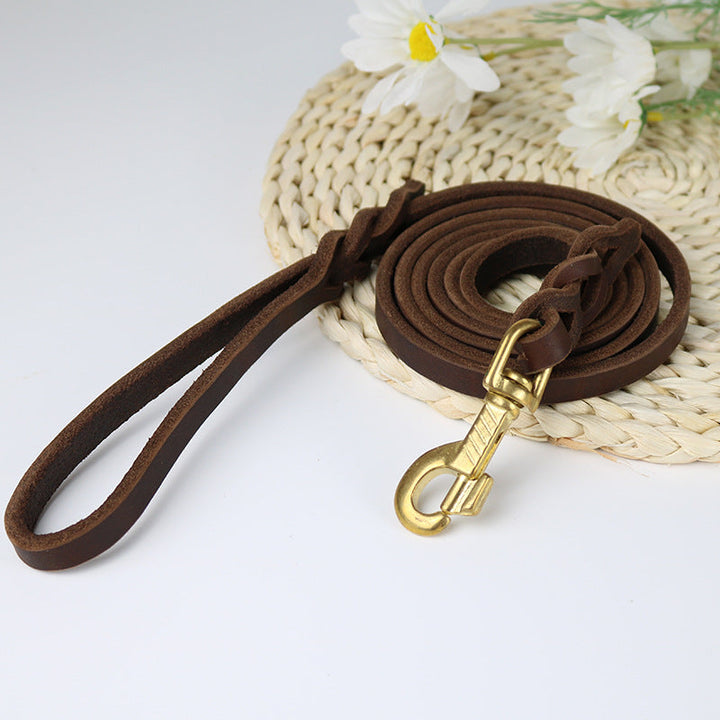 Pet training braided leather leash with robust design, suitable for everyday dog walks
