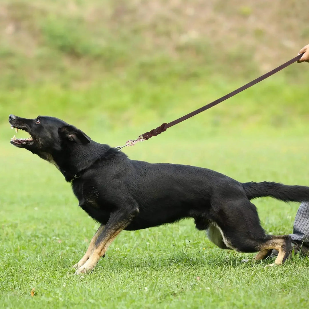 Unisex braided leather pet leash with comfort grip, ideal for dog training and walking gear