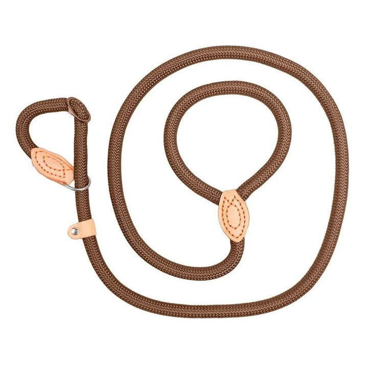 Adjustable dog slip lead with a comfortable handle, ideal for large dog training.