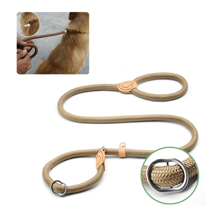 Durable braided slip lead dog leash, perfect for controlling medium to large pets.