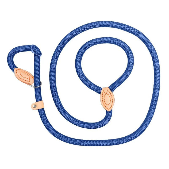 Dog training slip lead made from strong rope, suitable for daily walks and training sessions.