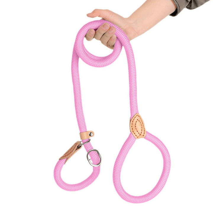 Pet supplies: ergonomic braided rope slip lead for effective dog training.