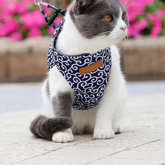Durable pet leash and comfortable cat harness in a bright green, perfect for active cats enjoying the outdoors.