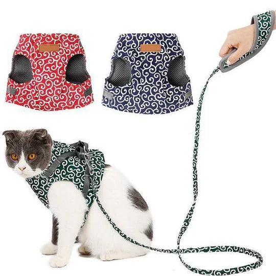 Complete cat outdoor set: an escape-proof harness and sturdy leash for secure, enjoyable walks and training.