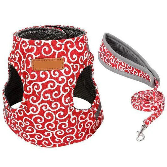 Lightweight and durable cat walking harness with a comfortable leash, ensuring a secure and enjoyable outdoor experience.