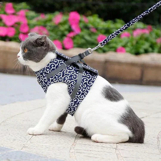 Soft and breathable cat harness with an accompanying leash, providing maximum comfort for your cat during walks.
