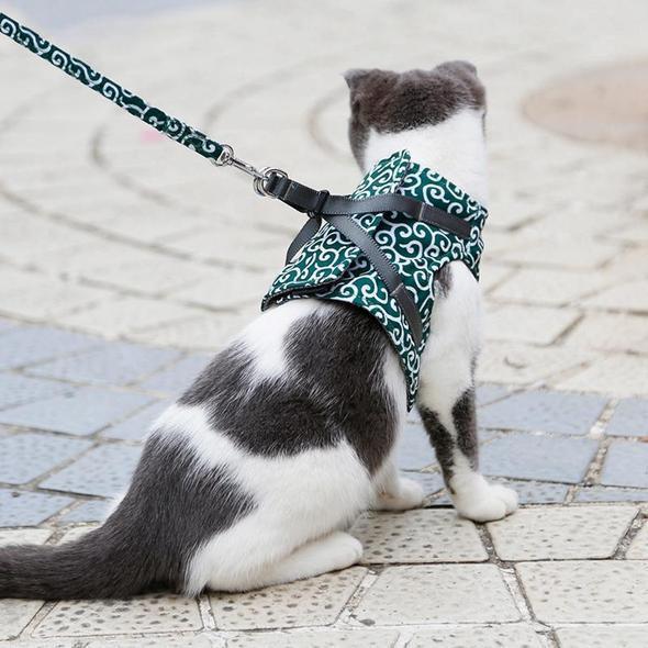 Stylish cat harness and leash in classic black, a reliable choice for daily outdoor adventures and pet control.